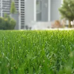 Διαμέρισμα Agrey Frame