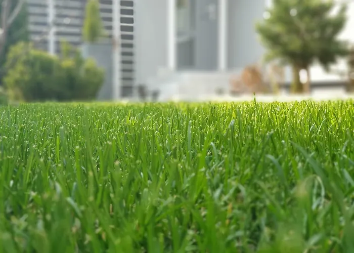 Apartmán Agrey Frame